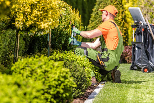 Gardening Services
