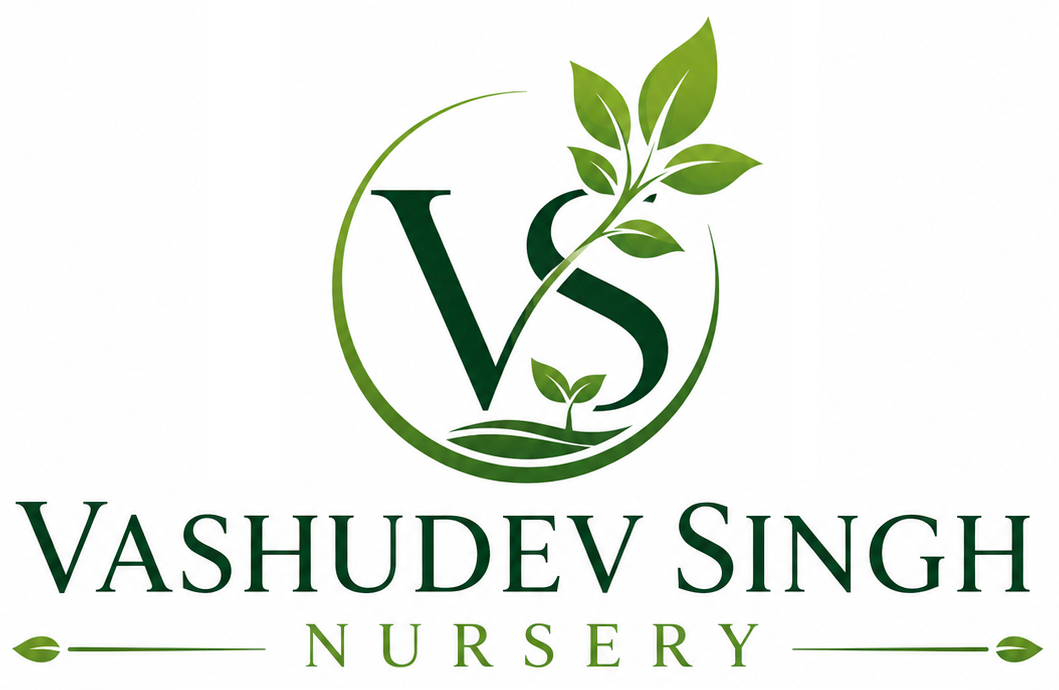 Vashudev Singh Nursery