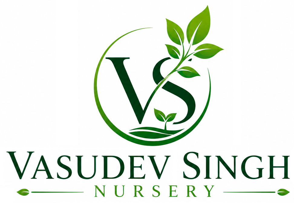 Vasudev Singh Nursery